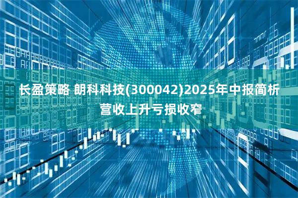 长盈策略 朗科科技(300042)2025年中报简析 营收上升亏损收窄