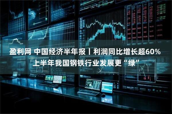 盈利网 中国经济半年报丨利润同比增长超60% 上半年我国钢铁行业发展更“绿”