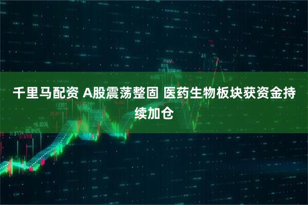 千里马配资 A股震荡整固 医药生物板块获资金持续加仓