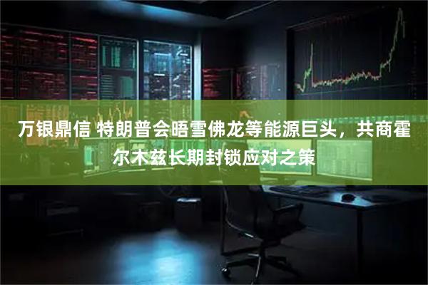 万银鼎信 特朗普会晤雪佛龙等能源巨头，共商霍尔木兹长期封锁应对之策