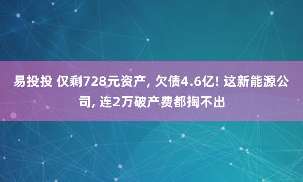 易投投 仅剩728元资产, 欠债4.6亿! 这新能源公司, 连2万破产费都掏不出